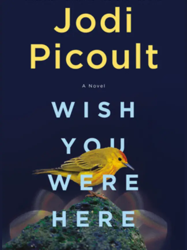 Wish You Were Here by Jodi Picoult